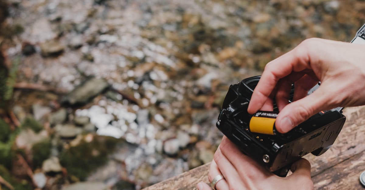 Blaxland, New South Wales