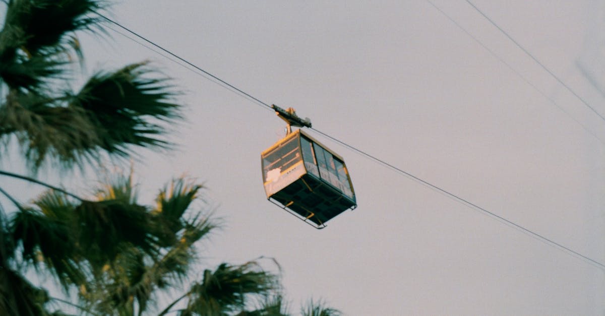 Cameron Park, New South Wales