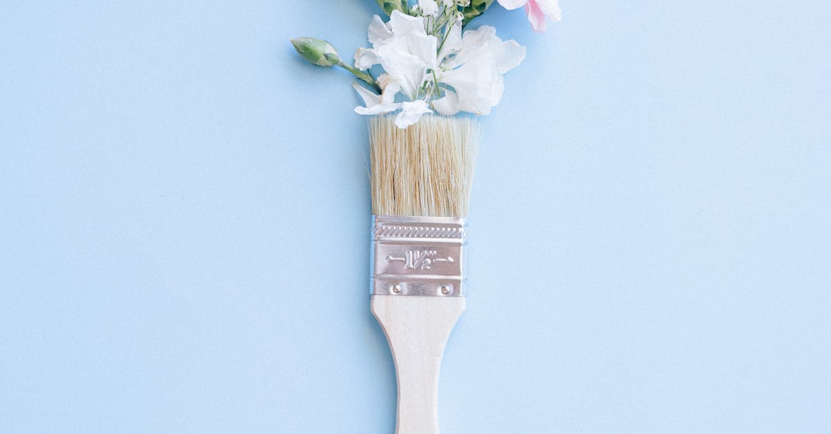 Is sunroof repairable?