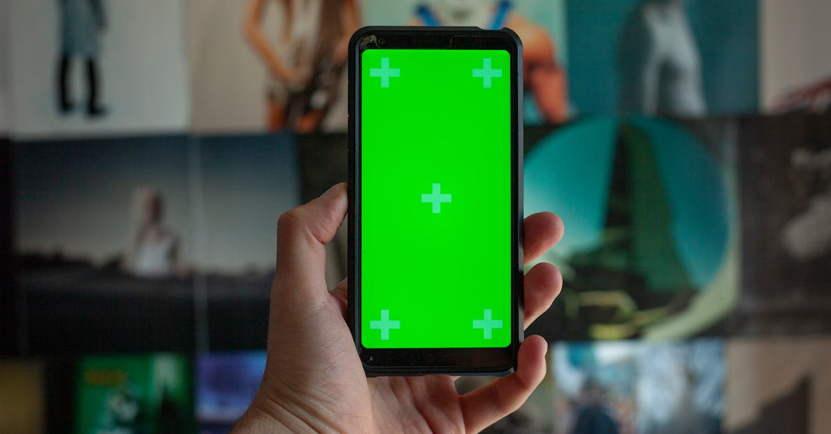 Narrabeen, New South Wales