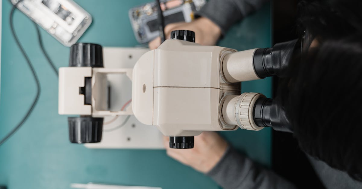 Palm Beach, New South Wales