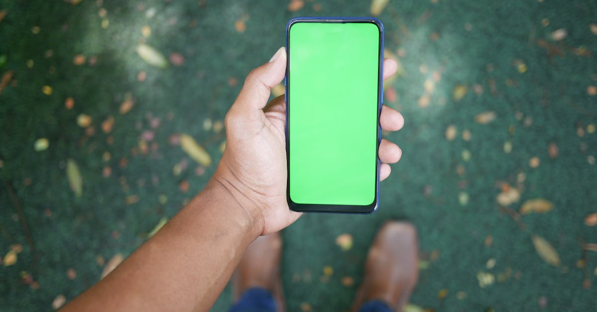 St Ives, New South Wales