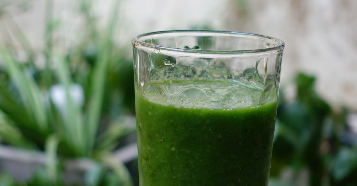 Warriewood, New South Wales