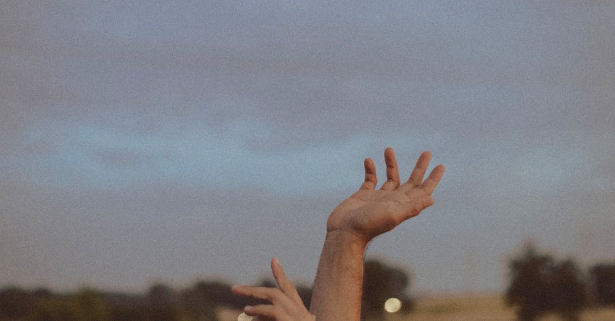 What is the average cost of sunroof replacement?