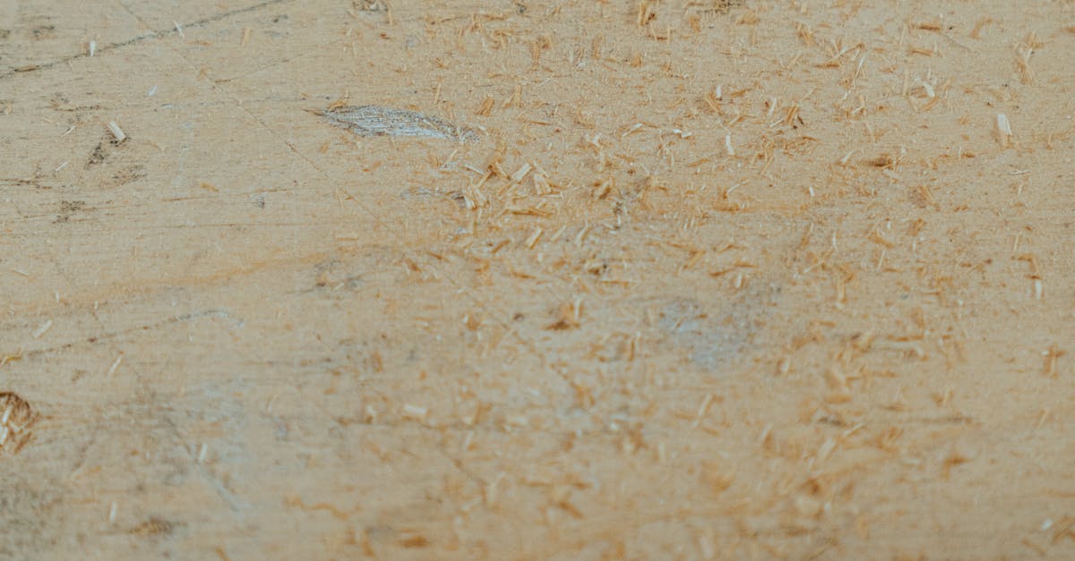 Why is autoglass so expensive?