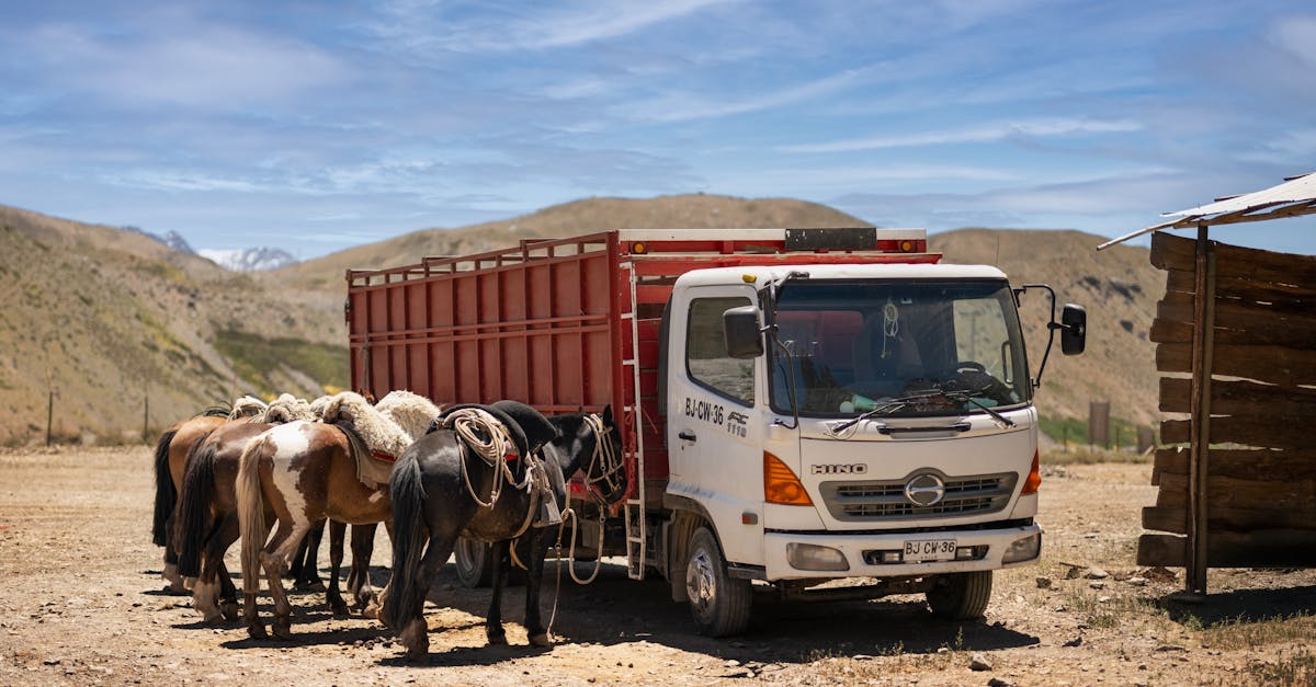 Why Windshield Wipers Are Important After Windscreen Replacement