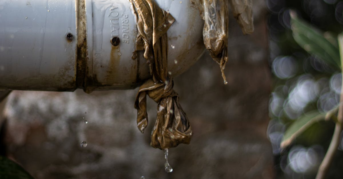 Yennora, New South Wales